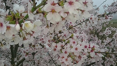 第28回;天の川こども園の落成式に出席しました。